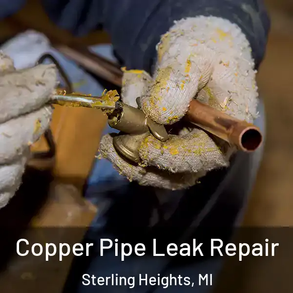  Copper Pipe Leak Repair Sterling Heights, MI