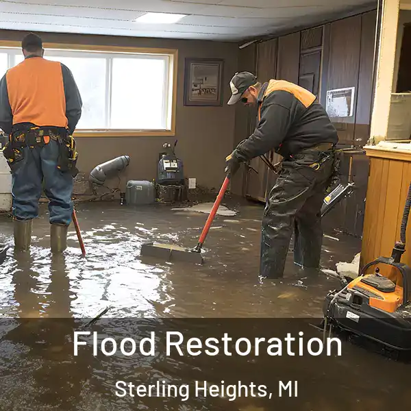  Flood Restoration Sterling Heights, MI