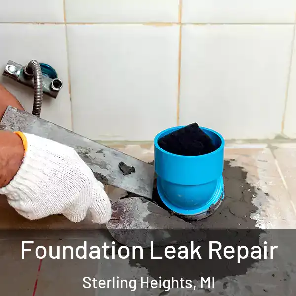  Foundation Leak Repair Sterling Heights, MI