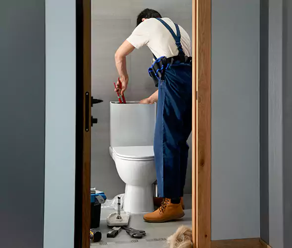 Professional Plumbers for Toilet Bowl Replacement in Sterling Heights, MI: Schedule Affordable Toilet Replacement Services With Us