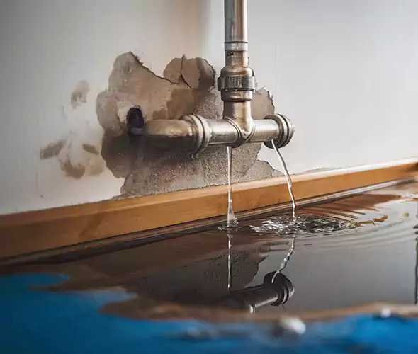 Professional Water Damage Restoration Experts in Sterling Heights, MI — Fast, Reliable & Certified