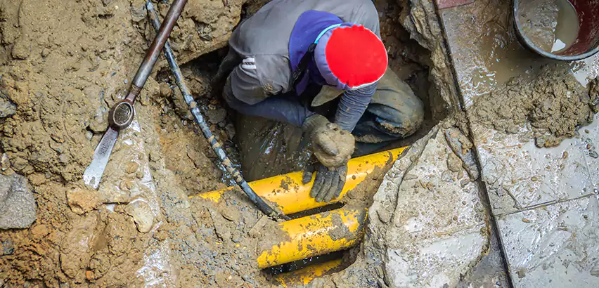 Clogged Drain Repair in Sterling Heights, MI