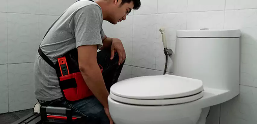 Toilet Repair in Sterling Heights