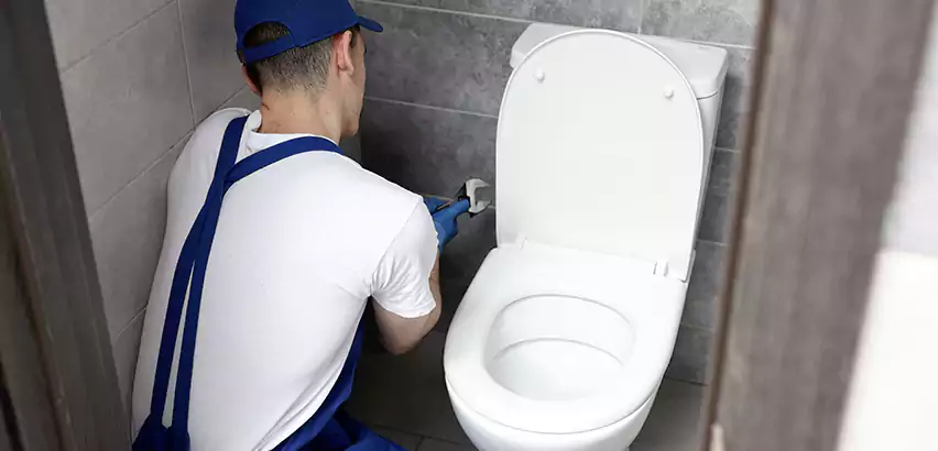 Toilet Lid Replacement in Sterling Heights