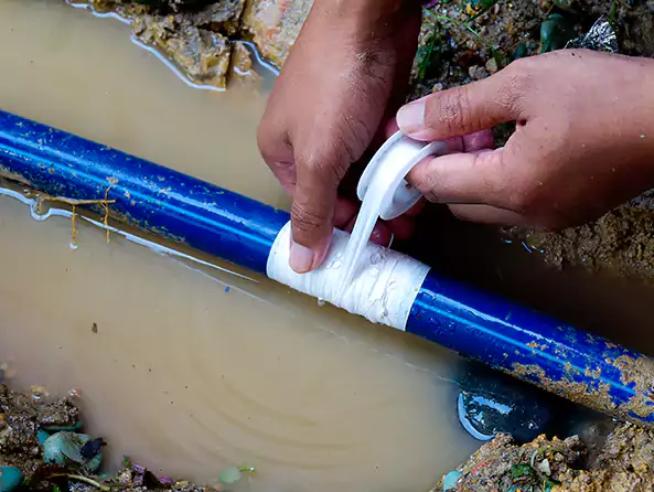  Why Choose Sterling Heights MI Plumber for Leak Detection in Sterling Heights, MI?]