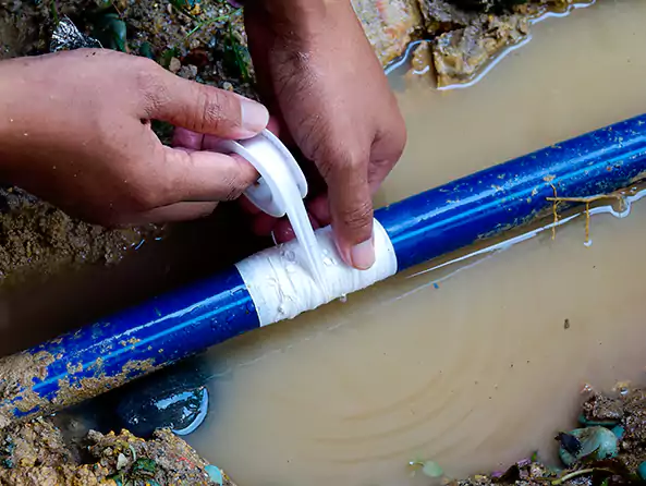 Why Choose Sterling Heights MI Plumber for Water Line Replacement in Sterling Heights, MI?