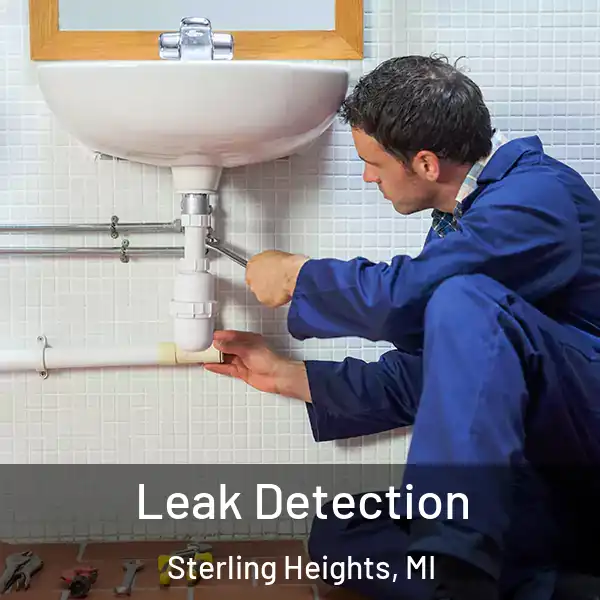  Leak Detection Sterling Heights, MI