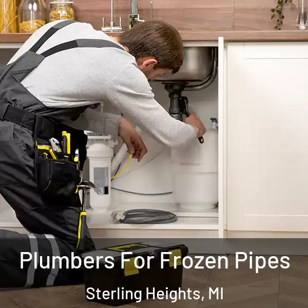  Plumbers For Frozen Pipes Sterling Heights, MI