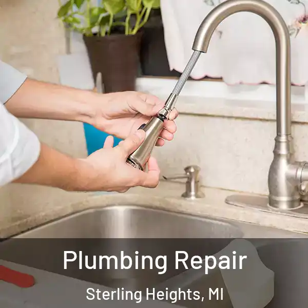  Plumbing Repair Sterling Heights, MI