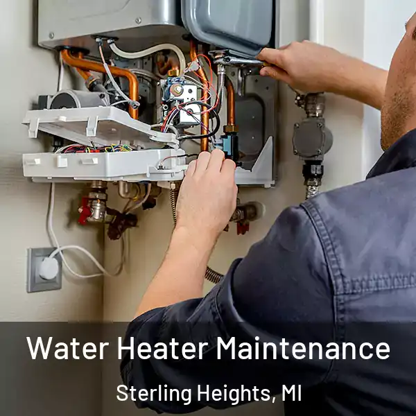 Water Heater Maintenance Sterling Heights, MI