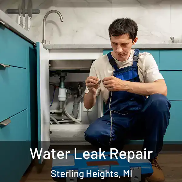  Water Leak Repair Sterling Heights, MI